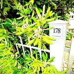 Conero Casa- Di Numana In Via Litoranea 178 Fronte Mare Con Pass Parcheggio Gratuito 公寓 马瑟利