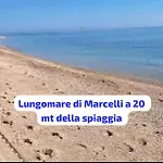Conero Casa- Di Numana In Via Litoranea 178 Fronte Mare Con Pass Parcheggio Gratuito 公寓 *