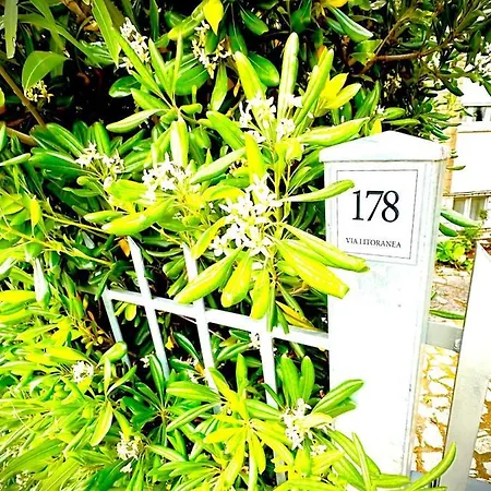 Conero Casa- Di Numana In Via Litoranea 178 Fronte Mare Con Pass Parcheggio Gratuito Lägenhet Marcelli